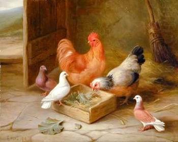 unknow artist Poultry 093 china oil painting image